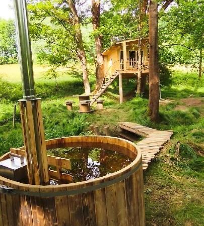 Treehouse Lea Apartment Mikulášovice Екстериор снимка