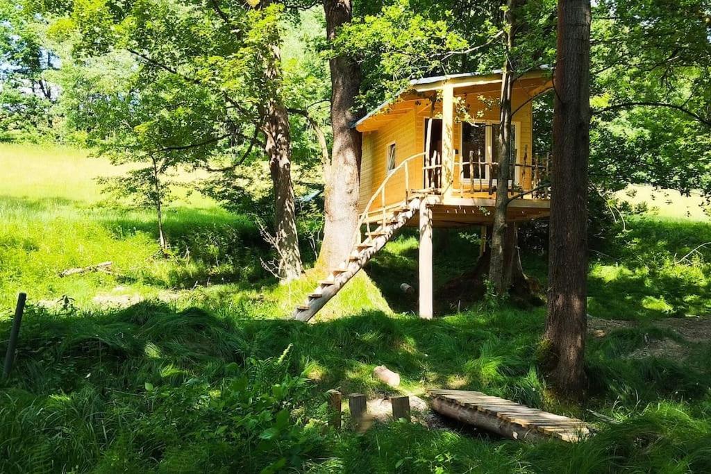Treehouse Lea Apartment Mikulášovice Екстериор снимка