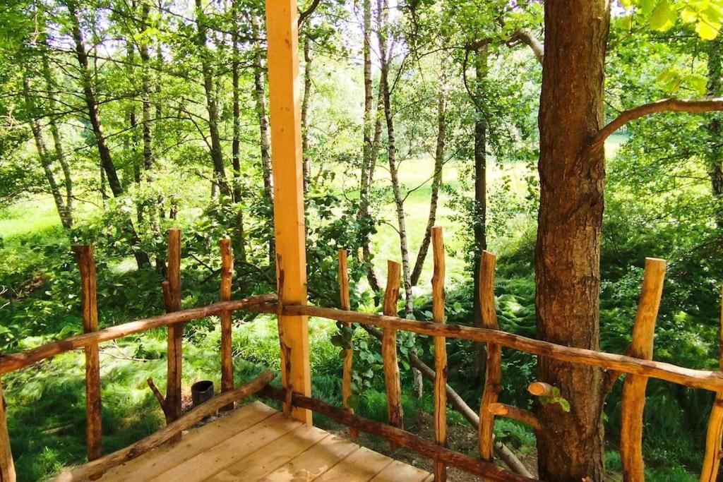 Treehouse Lea Apartment Mikulášovice Екстериор снимка