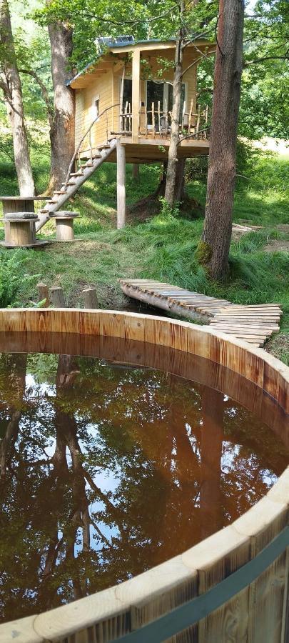 Treehouse Lea Apartment Mikulášovice Екстериор снимка
